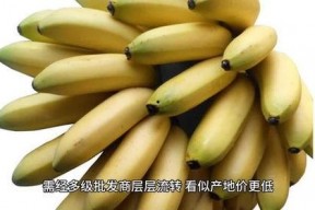 国产香蕉网,探索中国香蕉产业的魅力与未来